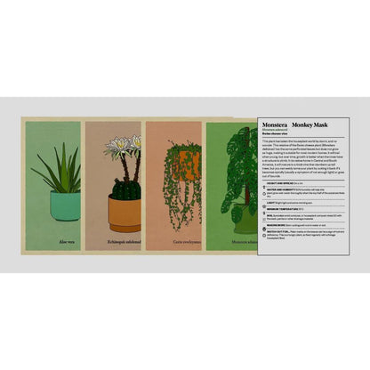 Houseplant Gardener in a Box