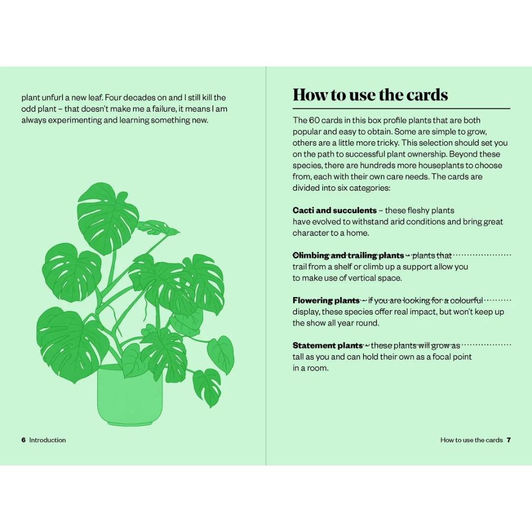 Houseplant Gardener in a Box