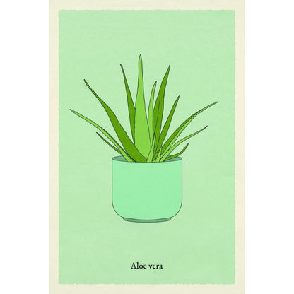 Houseplant Gardener in a Box