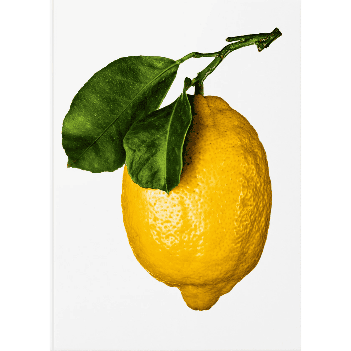Lemon bog om citron