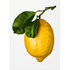 Lemon bog om citron