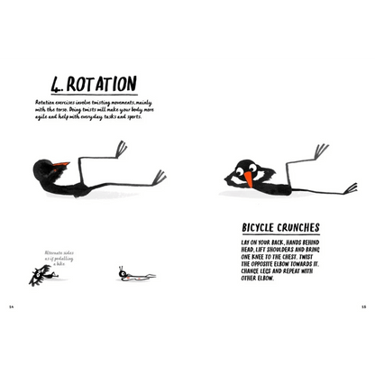 How to be a Fit Bird