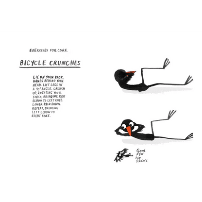 How to be a Fit Bird