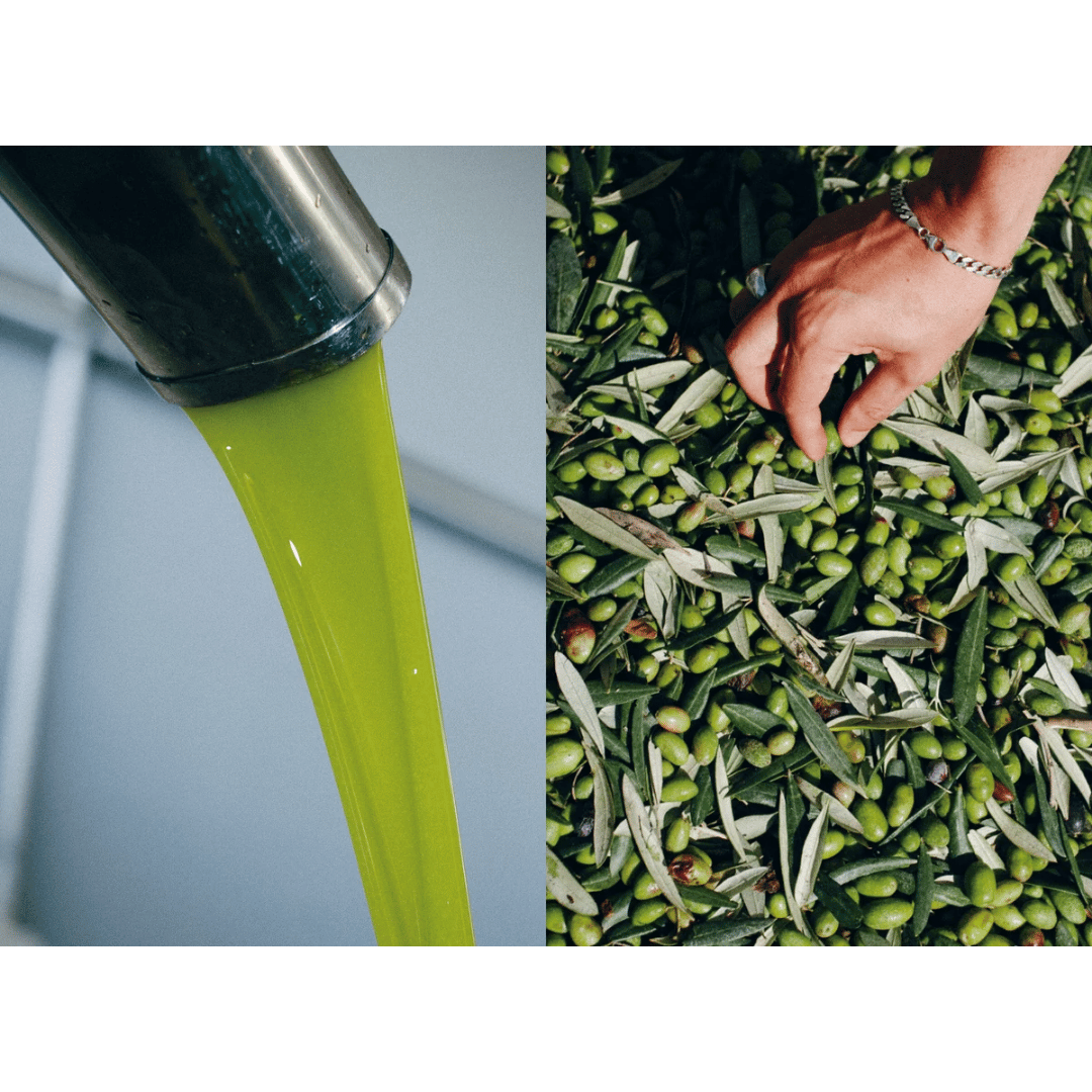 Olive Oil