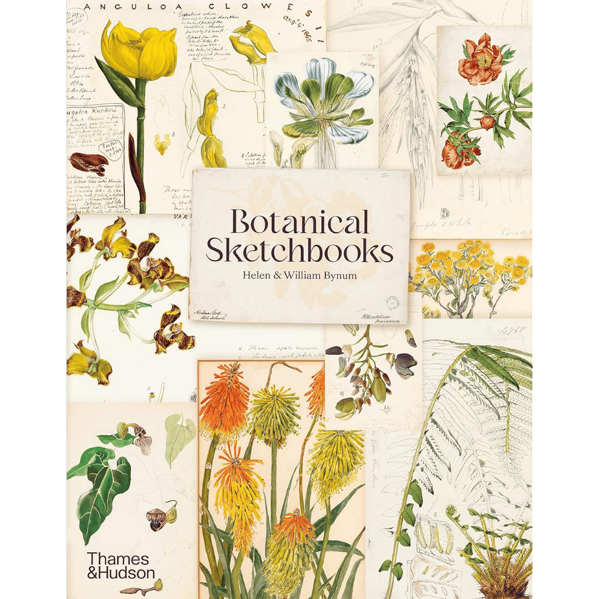 Botanical Sketchbooks fra New Mags 