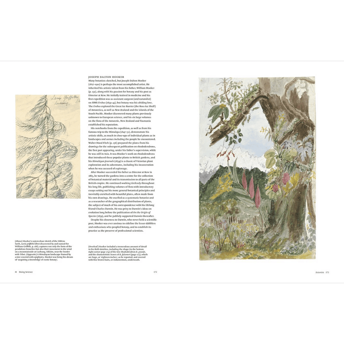 New Mags Botanical Sketchbooks er en smuk tegnebog med fokus på planter. 