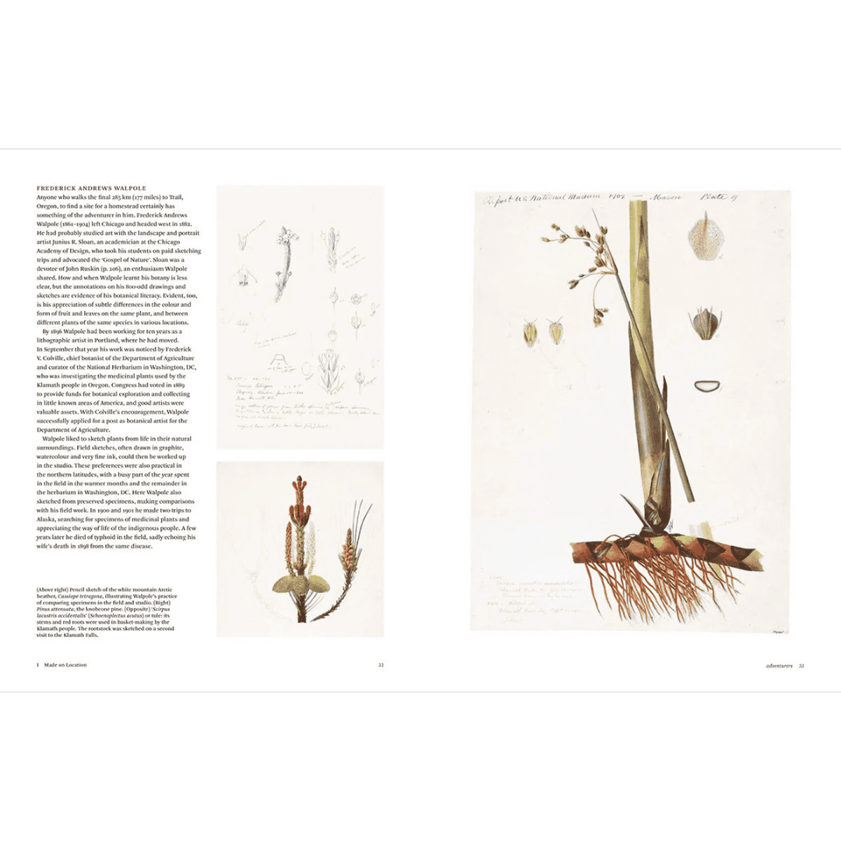 New Mags botanical sketchbokks - Bogen opfordrer til at observere naturens detaljer tæt