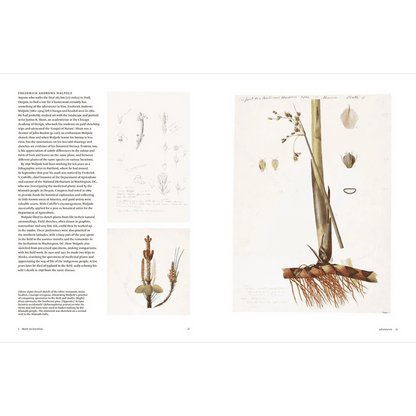 New Mags botanical sketchbokks - Bogen opfordrer til at observere naturens detaljer tæt