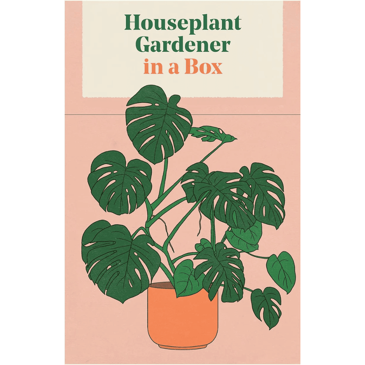 Houseplant Gardener in a box er fyldt med kort der fortæller om de forskellige planter