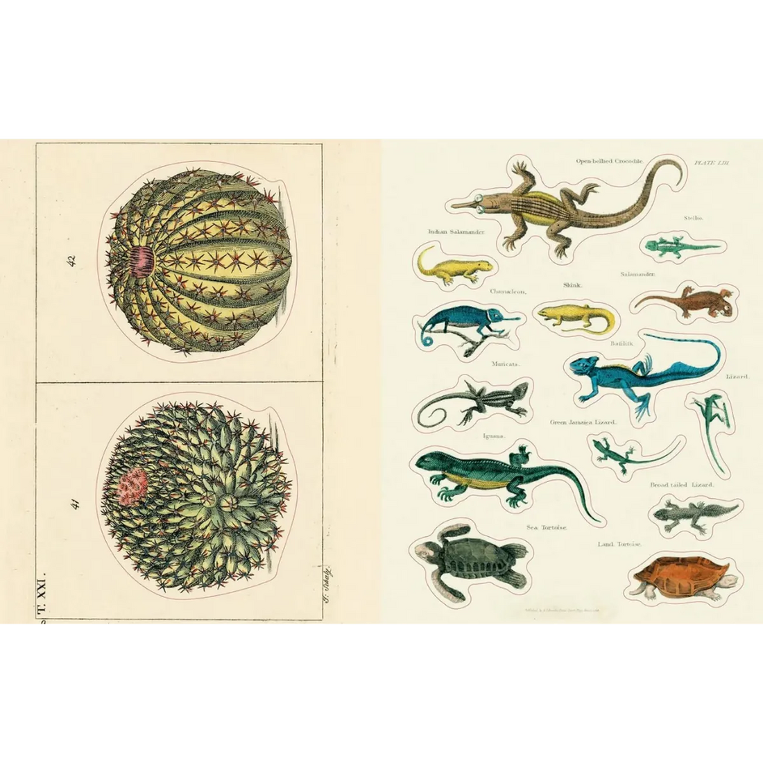 John Derian Sticker Book II
