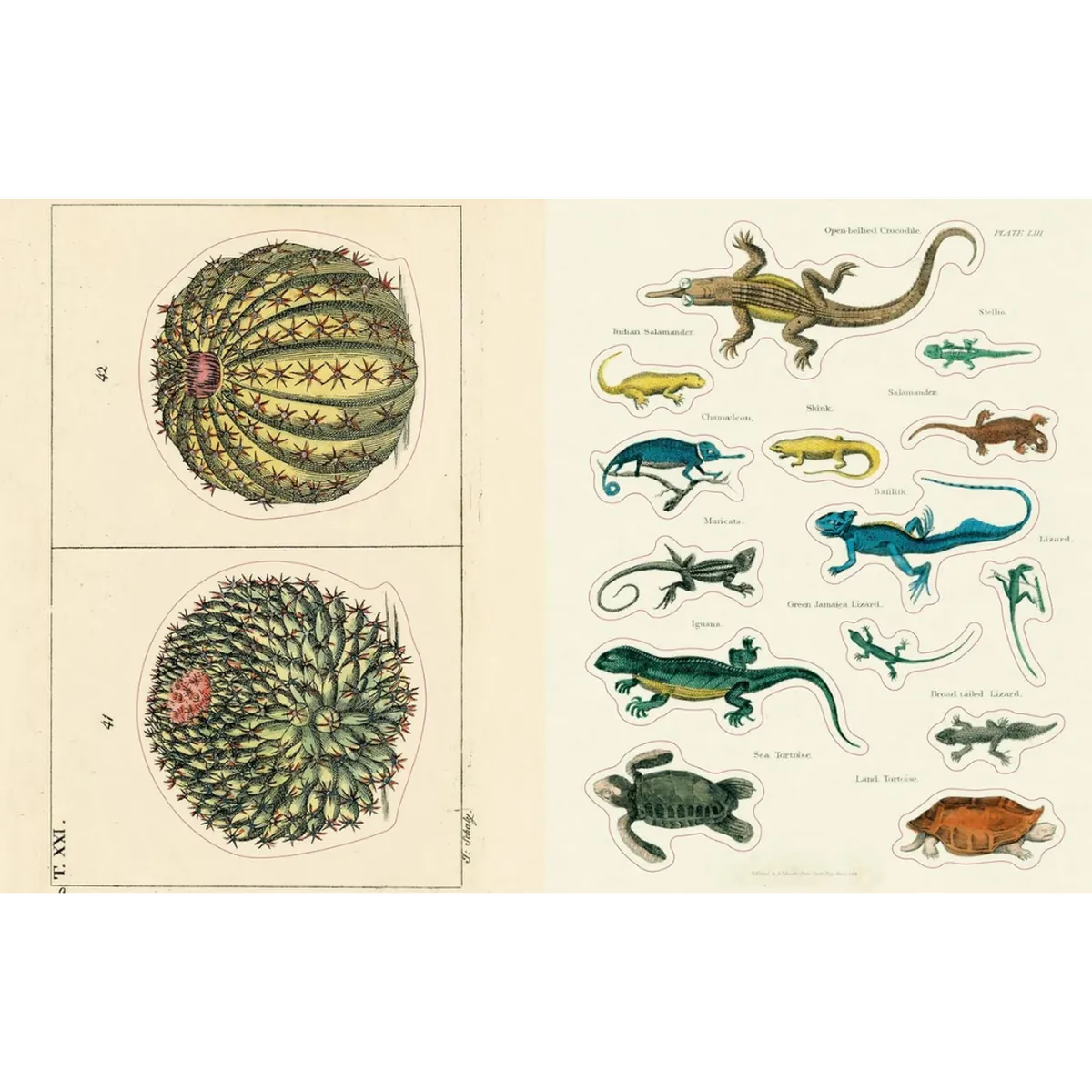John Derian Sticker Book II