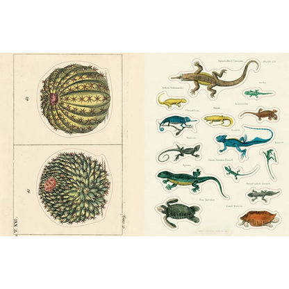 John Derian Sticker Book II