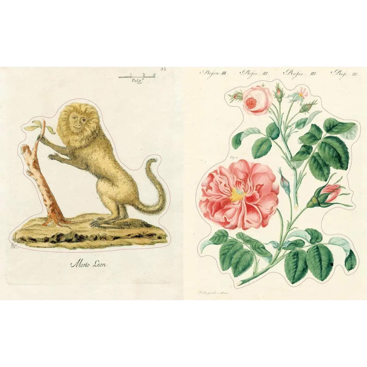 John Derian Sticker Book II