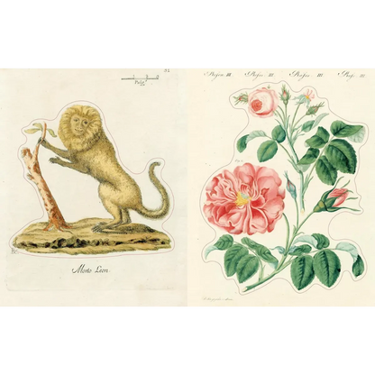 John Derian Sticker Book II