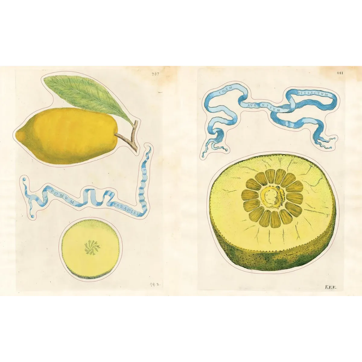 John Derian Sticker Book II