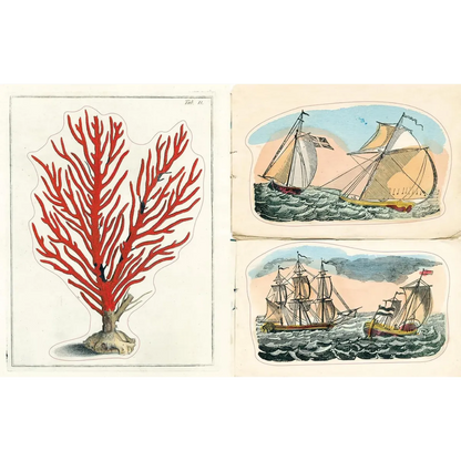John Derian Sticker Book II
