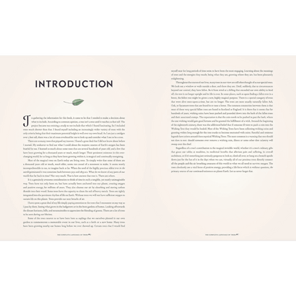 Introduktion New Mags trees bog 