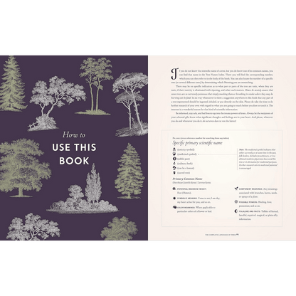 How to use this book