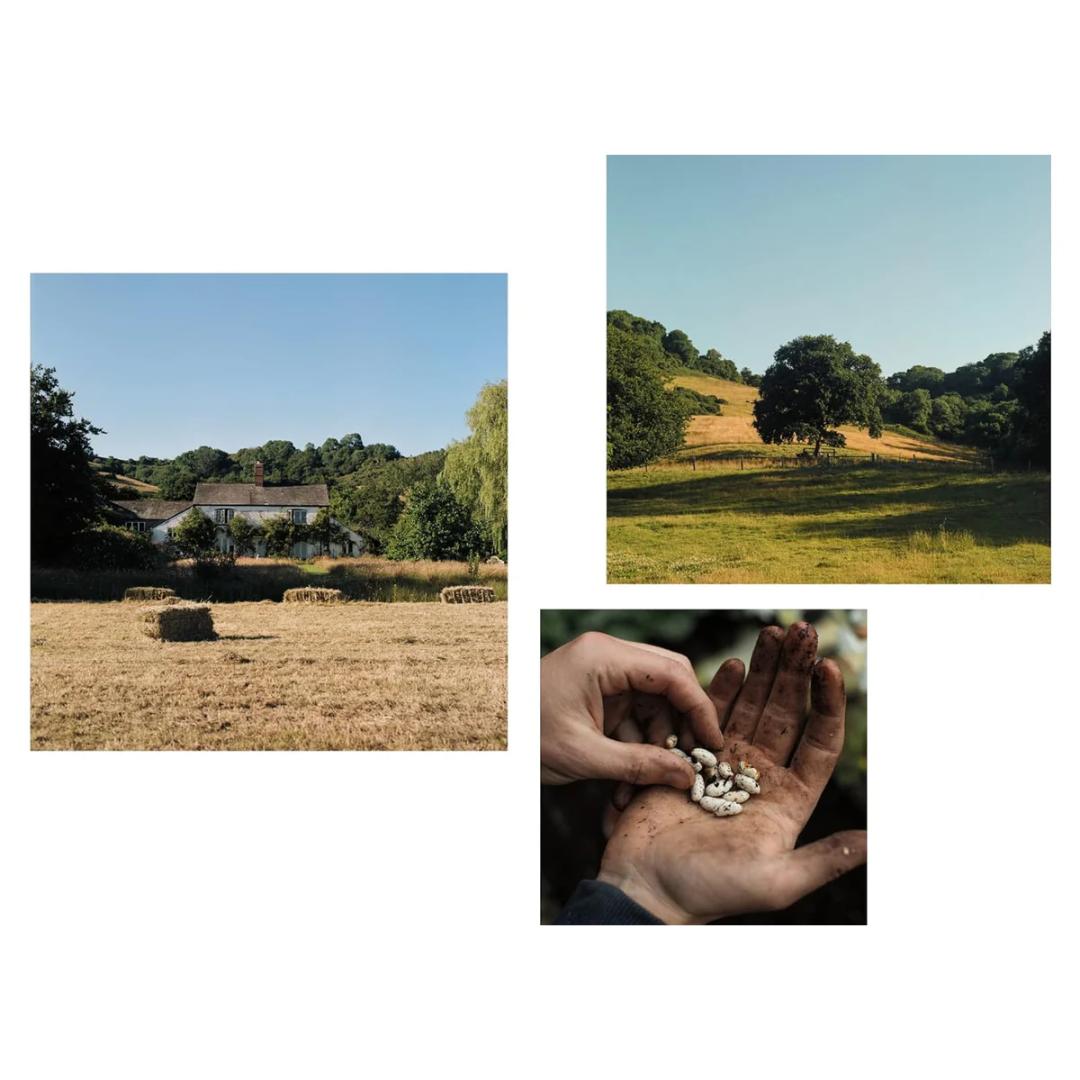 The Farm Table