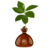 Avocado vase fra ILEX STUDIO i farven &