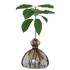 Avocado vase fra ILEX STUDIO i farven &