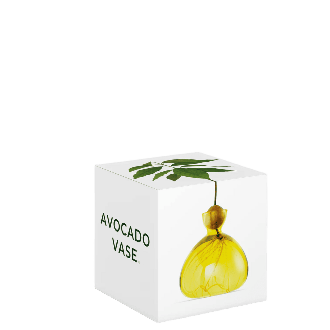 Avocado vase fra ILEX STUDIO i farven &