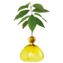 Avocado vase fra ILEX STUDIO i farven &