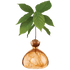 Avocado vase fra ILEX STUDIO i farven &