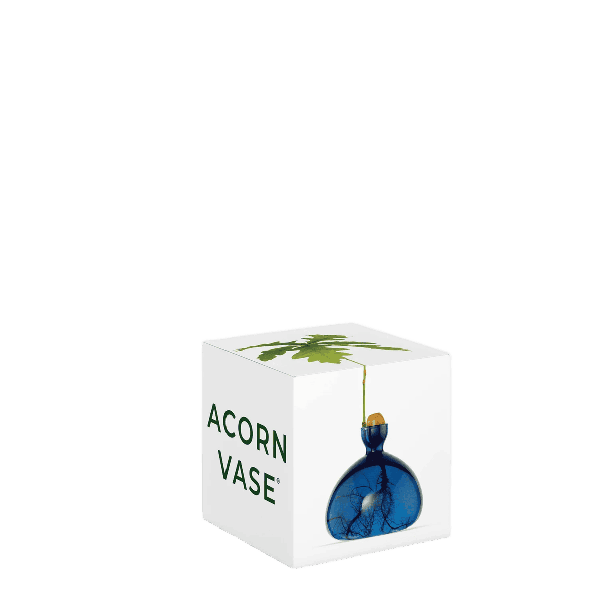 Avocado vase fra ILEX STUDIO i farven &