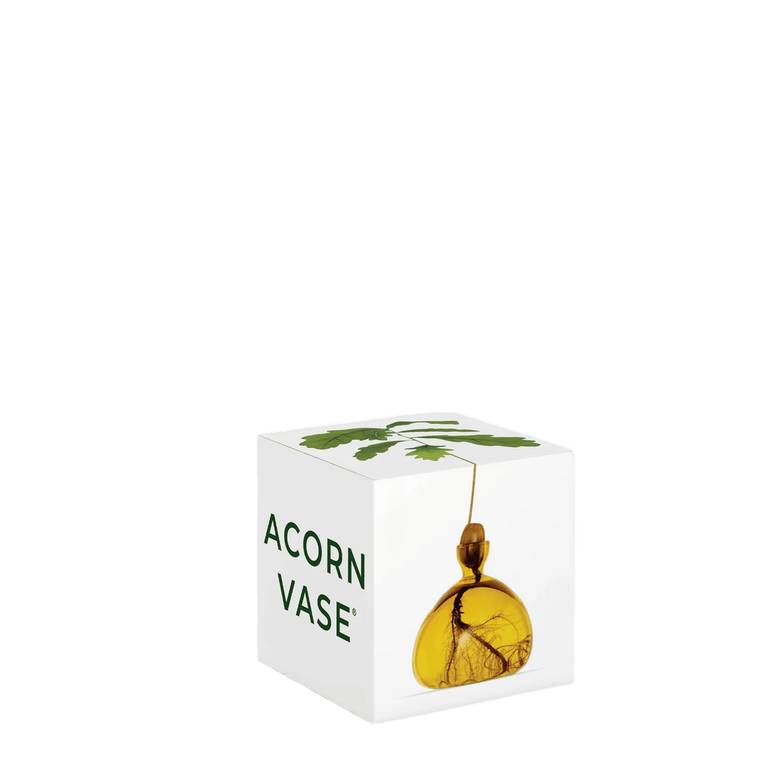 Agern vase fra ILEX STUDIO i farven &