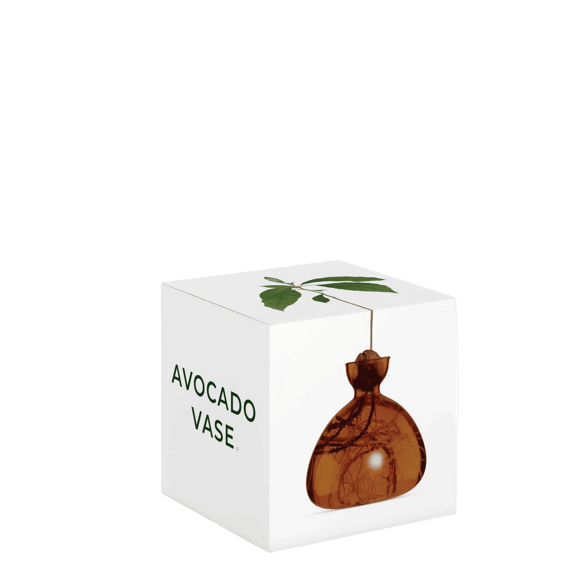 Avocado vase fra ILEX STUDIO i farven &