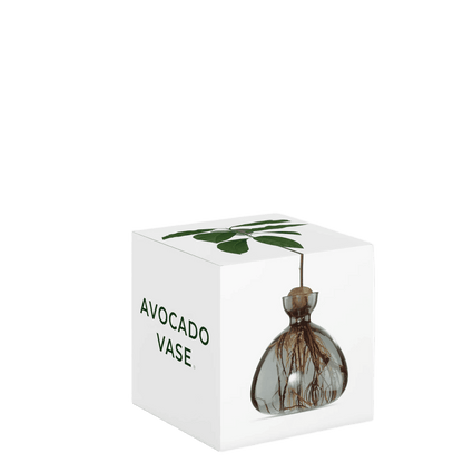 Avocado vase fra ILEX STUDIO i farven &
