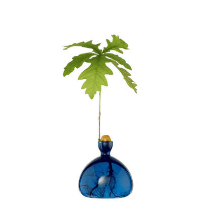 Avocado vase fra ILEX STUDIO i farven &