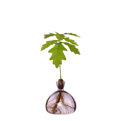 Agern vase fra ILEX STUDIO i farven &