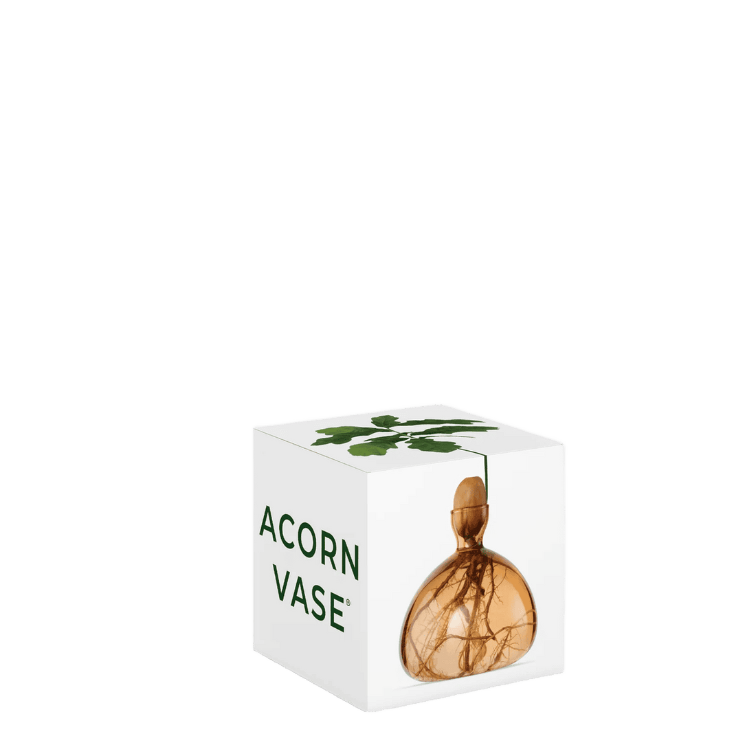 Agern vase fra ILEX STUDIO i farven &
