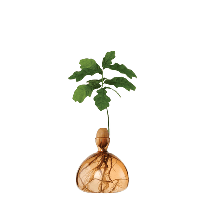 Agern vase fra ILEX STUDIO i farven &