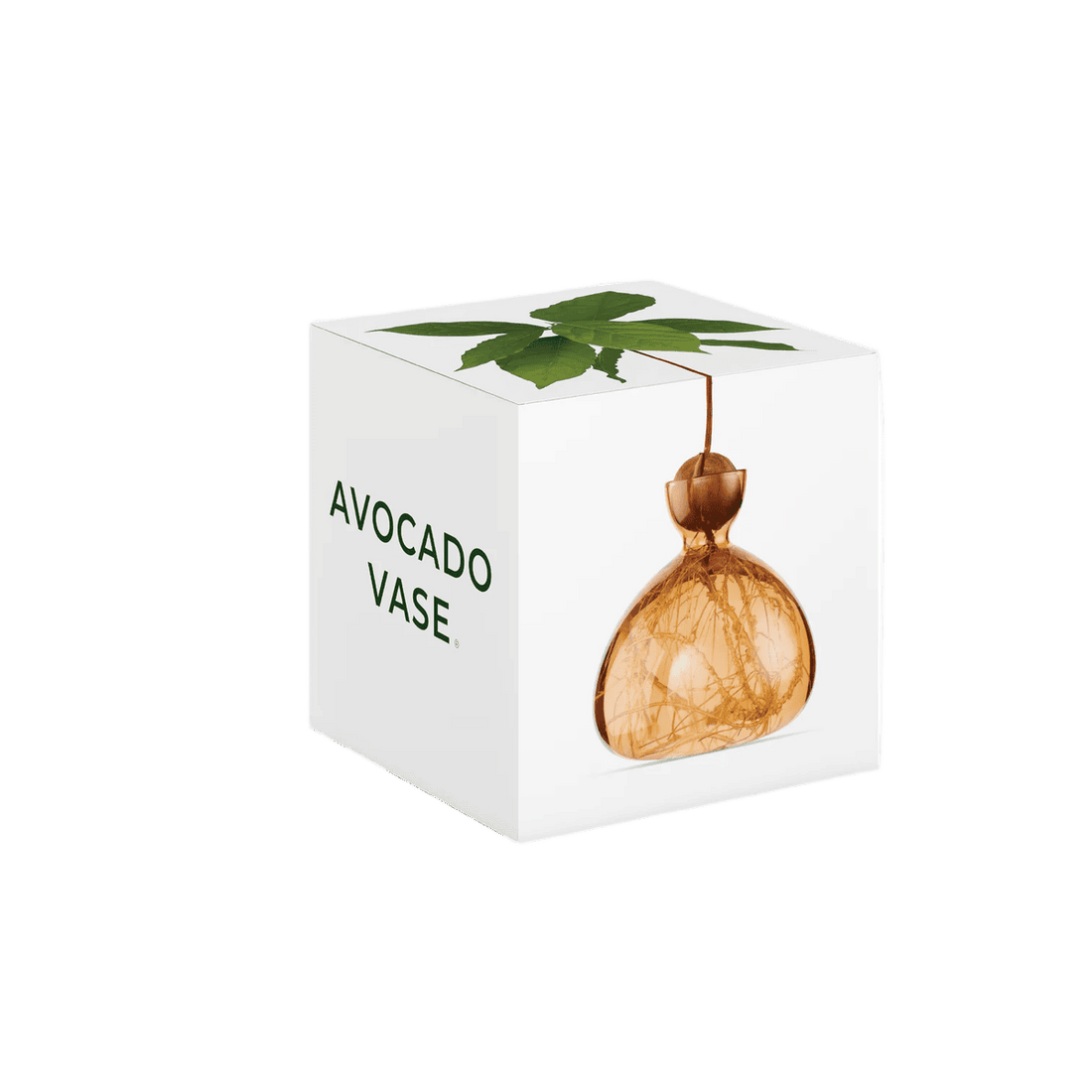 Avocado vase fra ILEX STUDIO i farven &