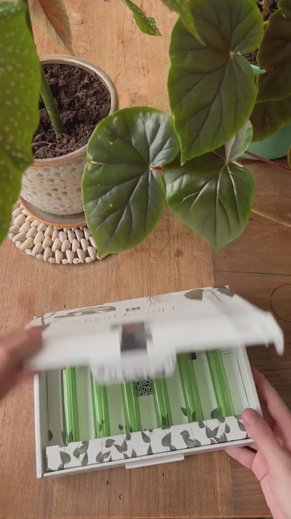 Sådan kommer du i gang med WallLeaf