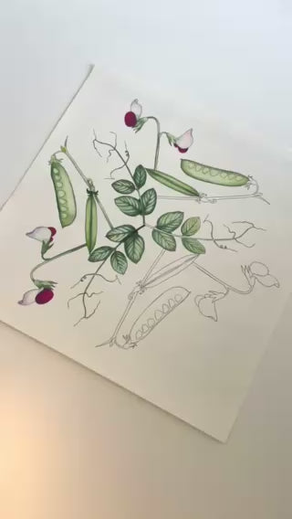 Flora Danica Mandalas