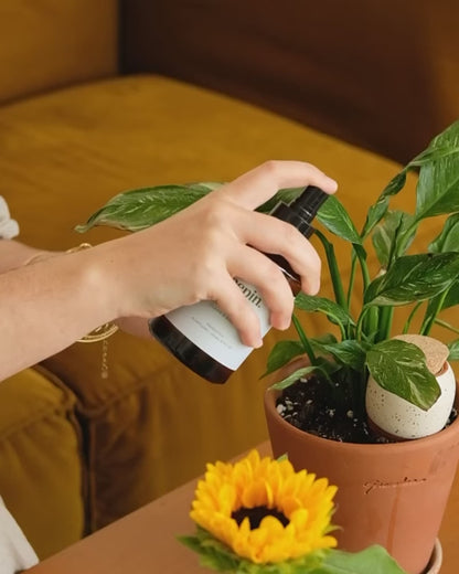 Toner, Plantepleje Mod Insekter &amp; Skadedyr - Beskyttende Spray