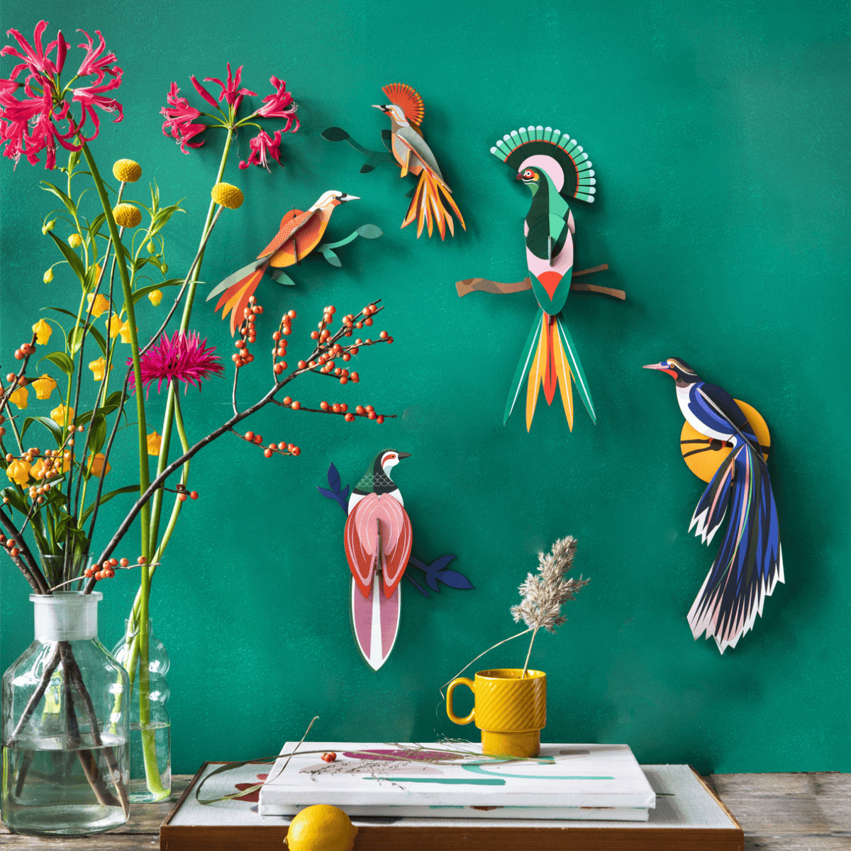 Tinjil paradise bird - vægdekoration