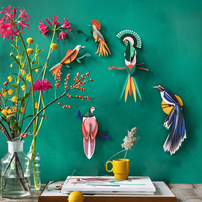 Tinjil paradise bird - vægdekoration