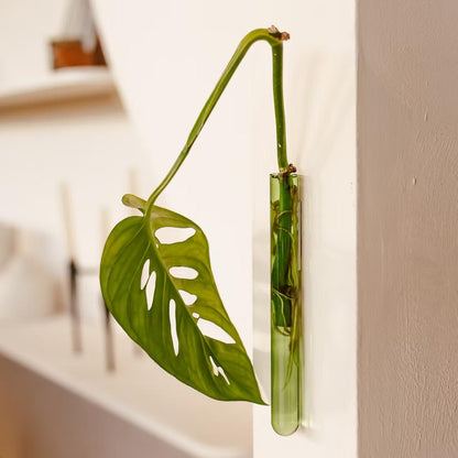 WallLeaf vægvase i grønt glas med magnetisk montering til stiklinger og blomster