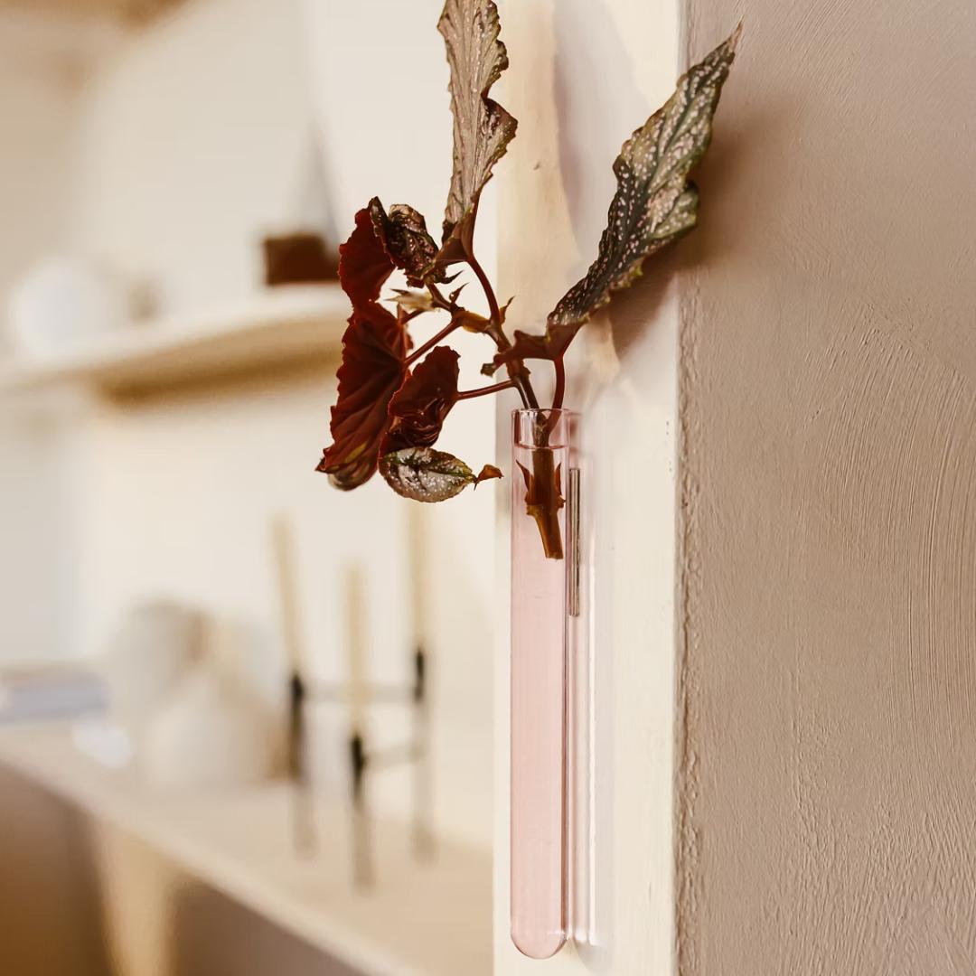 Pink WallLeaf væghængt glasvase til planteformering med selvklæbende magnet