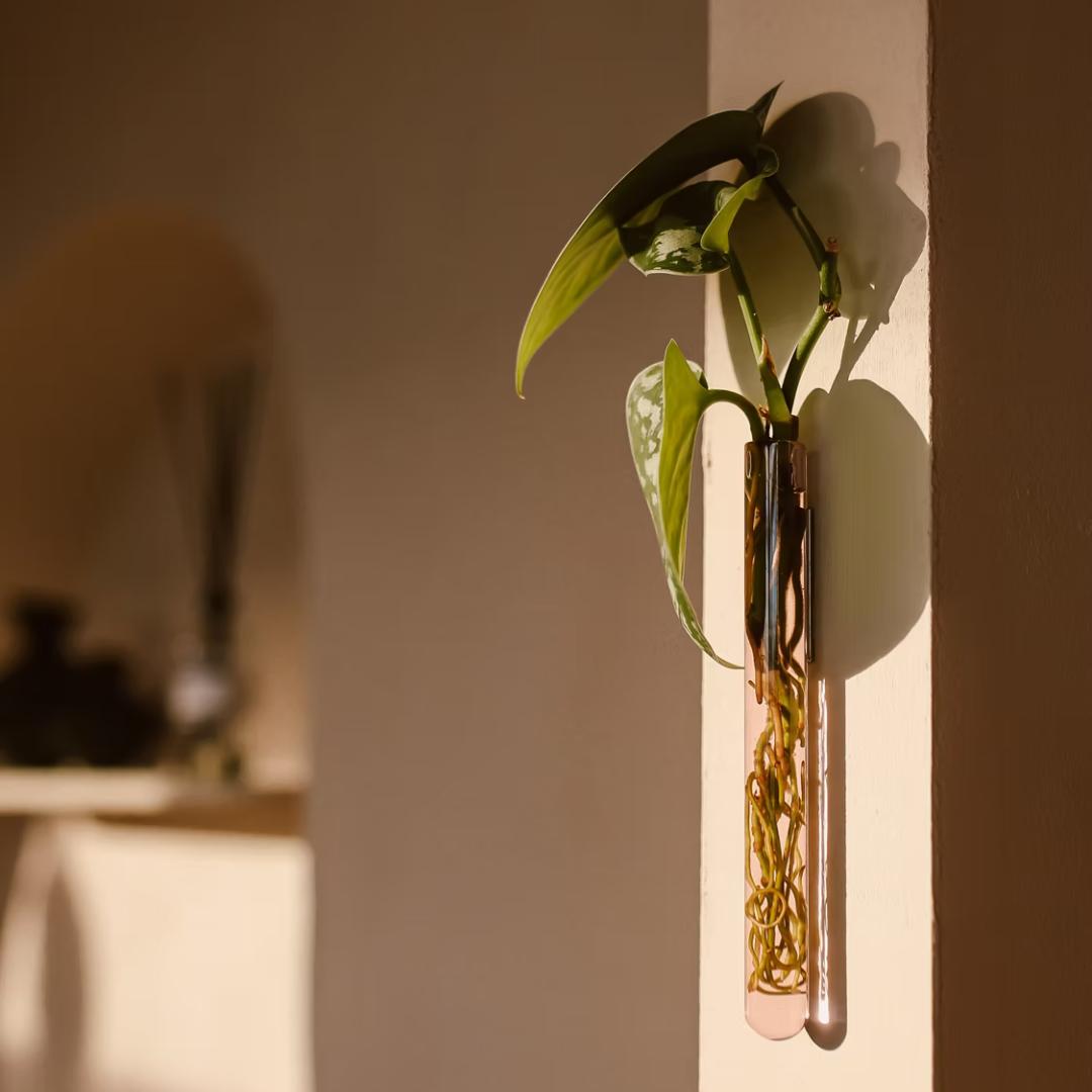 WallLeaf vægvase i pink glas med magnetisk montering til stiklinger og blomster