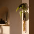 WallLeaf vægvase i pink glas med magnetisk montering til stiklinger og blomster