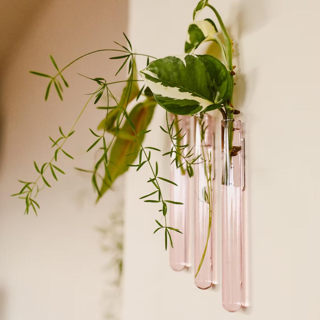 Pink WallLeaf sæt med tre væghængte glasvaser til planteformering