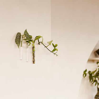 WallLeaf sæt med tre væghængte glasvaser i transparant glas til planteformering og grøn indretning