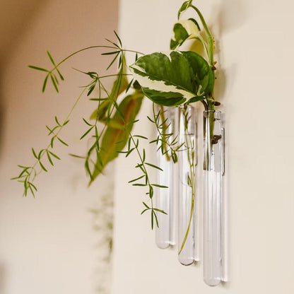 WallLeaf 3-pack vægvaser i transparant glas med magnetisk montering til stiklinger og planter