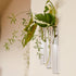 WallLeaf 3-pack vægvaser i transparant glas med magnetisk montering til stiklinger og planter